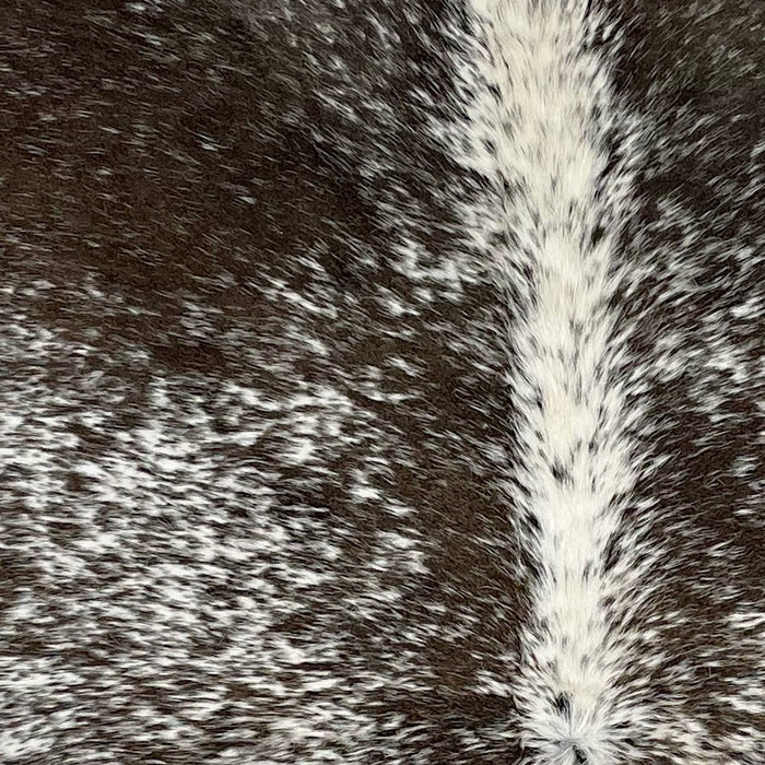 Closeup of this Speckled Brazilian Cowhide, showing white with dark brown speckles and spots, dark brown with white speckles on the shoulder (BRSP2862)