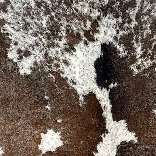 Closeup of this Speckled Brazilian Cowhide, showing white with large and small, brown spots, and cloudy, brown speckles (BRSP2864)