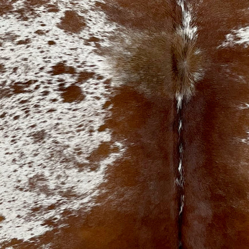 Closeup of this Speckled Brazilian Cowhide, showing white with reddish brown speckles and large and small spots (BRSP2865)