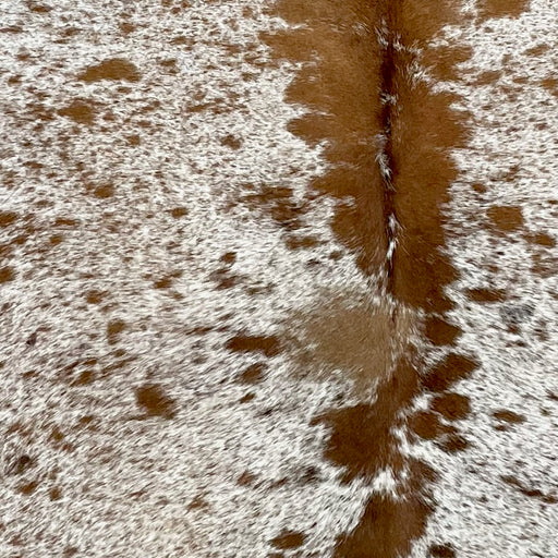 Closeup of this Speckled Brazilian Cowhide, showing white with brown speckles and large and small, brown spots  (BRSP2868)