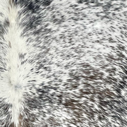 Closeup of this Tricolor Speckled Brazilian Cowhide, showing white with black and brown speckles and spots  (BRSP2870)