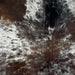 Closeup of this Tricolor Speckled Brazilian Cowhide, showing white with black and brown speckles and spots  (BRSP2878)