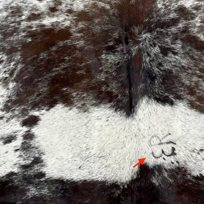 Closeup of this Tricolor Speckled Brazilian Cowhide, showing one brand mark on the right side of the back (BRSP2878)