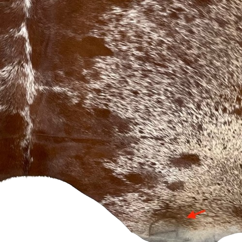 Closeup of this Reddish Brown and White Speckled Brazilian Cowhide, showing one brand mark on the right side of the butt  (BRSP2883)