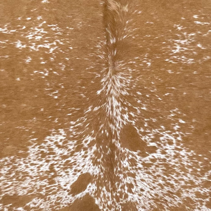 Closeup of this Large Caramel and White Speckled Brazilian Cowhide, showing caramel with white speckles on the top half of the hide, and white with caramel speckles and spots on the lower half (BRSP2891)