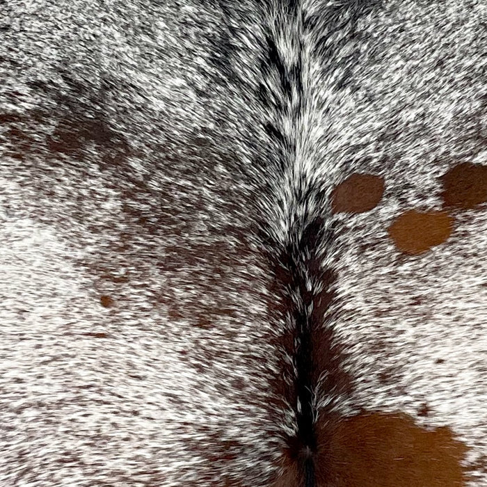 Closeup of this Large Tricolor Speckled Brazilian Cowhide, showing white with reddish brown and black speckles and spots (BRSP2893)