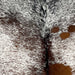 Closeup of this Large Tricolor Speckled Brazilian Cowhide, showing white with reddish brown and black speckles and spots (BRSP2893)