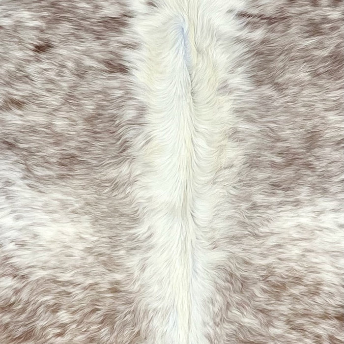 Closeup of this Large Speckled Brazilian Cowhide, showing long hair that is ivory with brown speckles and spots down both side of an ivory spine (BRSP2904)