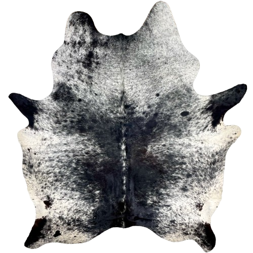 Large Black and White Speckled Brazilian Cowhide: white with black speckles and spots, and it has mostly solid black down the middle of the back and black and white down the spine - 7'10" x 6'5" (BRSP2919)