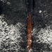 Closeup of this Speckled Brazilian Cowhide, showing white with black speckles and spots, and brown down part of the spine  (BRSP2920)