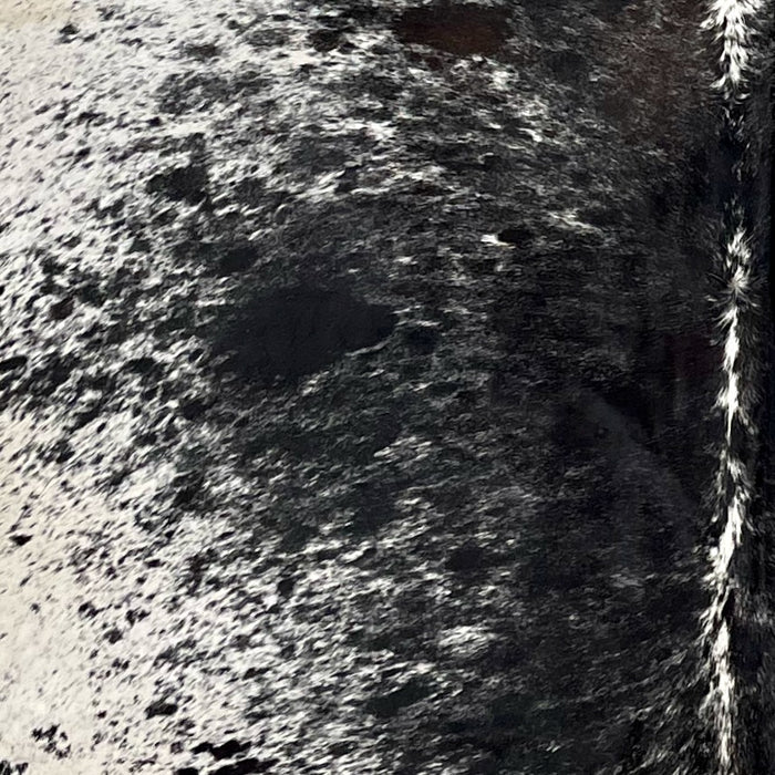 Closeup of this Large Speckled Brazilian Cowhide, showing black with white speckles down the middle of the back, and white with black speckles and spots on the belly (BRSP2922)