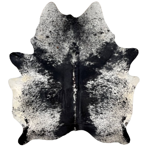 Large Black and White Speckled Brazilian Cowhide: white with black speckles and spots, and mostly solid black down both side of a black and white spine, and it has a dark brown spot on the spine - 7'8" x 6'3" (BRSP2928)