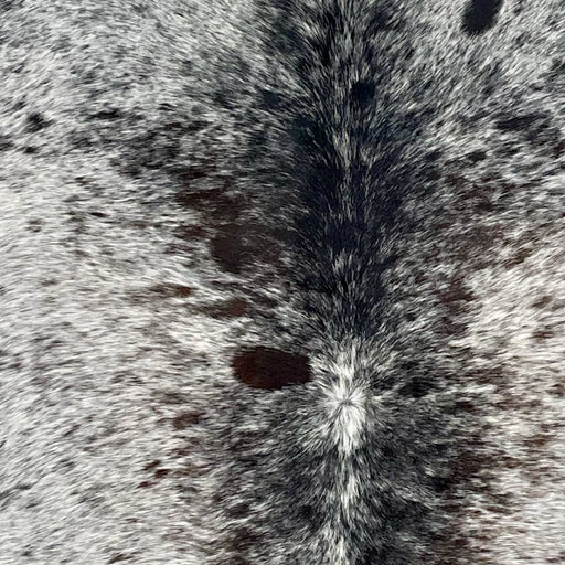 Closeup of this Large Tricolor Speckled Brazilian Cowhide, showing white with black and dark brown speckles and spots (BRSP2932)