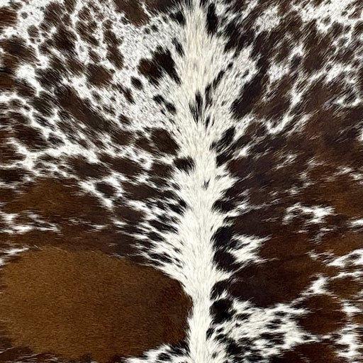 Closeup of this Speckled Brazilian Cowhide, showing off-white with dark golden brown and blackish brown spots and speckles (BRSP2933)