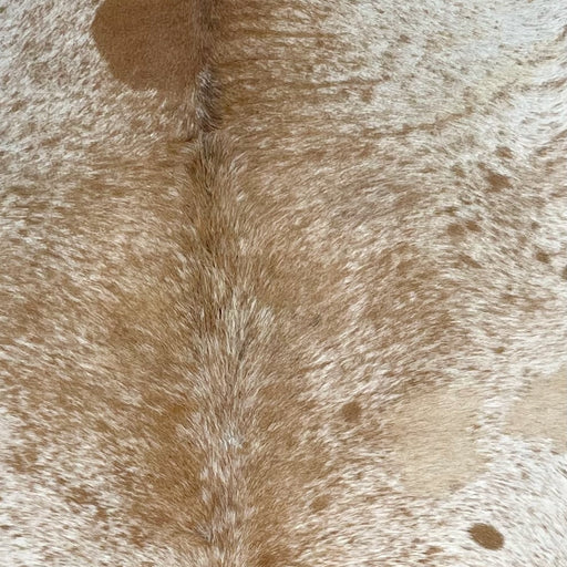 Closeup of this XL Speckled Brazilian Cowhide, showing white with caramel speckles and spots (BRSP2934)