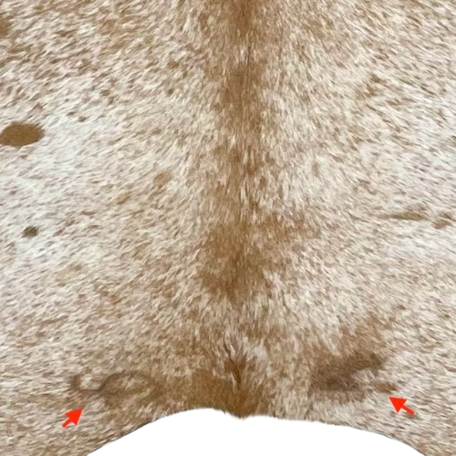 Closeup of this XL White and Caramel Speckled Brazilian Cowhide, showing one brand mark on each side of the butt (BRSP2934)