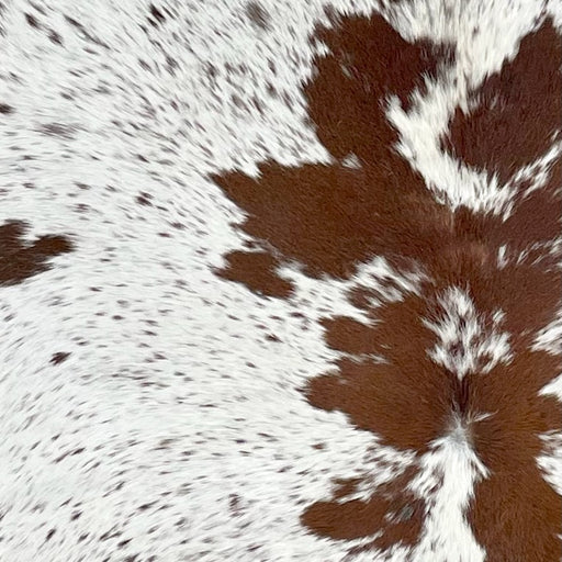 Closeup of this XL Speckled Brazilian Cowhide, showing white with brown speckles and spots (BRSP2936)