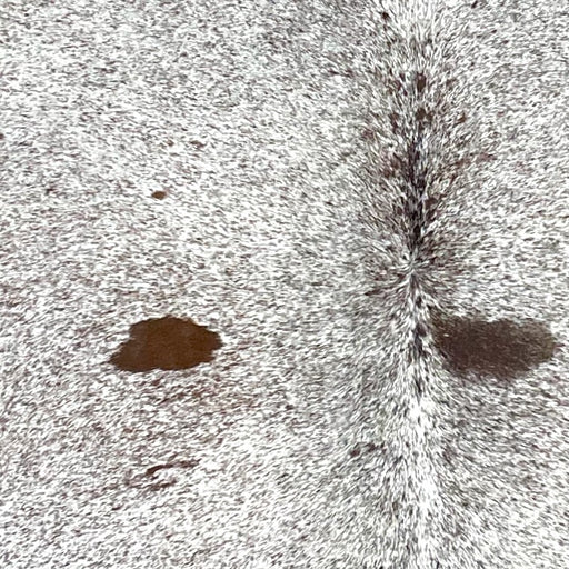 Closeup of this XL Tricolor Speckled Brazilian Cowhide, showing white with brown and black speckles and spots (BRSP2938)