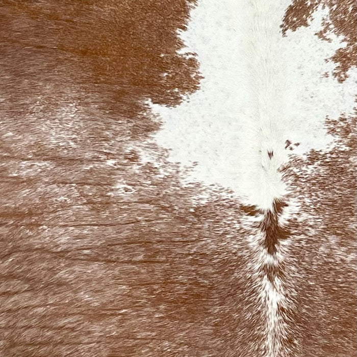 Closeup of this extra-large Speckled Brazilian Cowhide, showing brown with white speckles, and a large, white spot down the middle of the shoulder (BRSP2940)