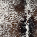 Closeup of this Tricolor Speckled Brazilian Cowhide, showing white with brown and black spots and speckles (BRSP2941)