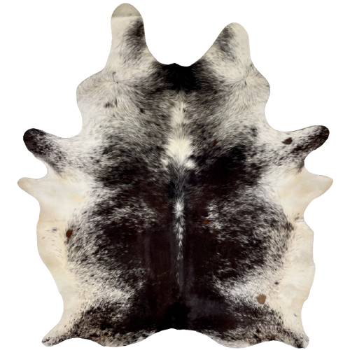 Blackish Brown and White Speckled Brazilian Cowhide: blackish brown with white speckles and spots, and off-white on the belly, and it has a few small, brown spots - 7'5" x 5'10" (BRSP2944)