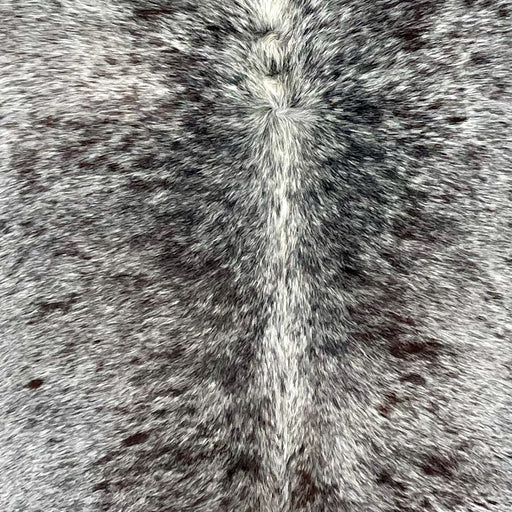 Closeup of this Large Tricolor Speckled Brazilian Cowhide, showing white with black and dark brown speckles and spots (BRSP2949)