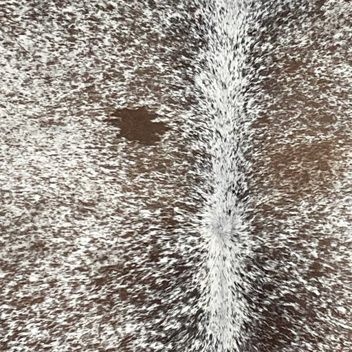 closeup of this Tricolor Speckled Brazilian Cowhide, showing white with medium brown and dark brown speckles and spots (BRSP2953)