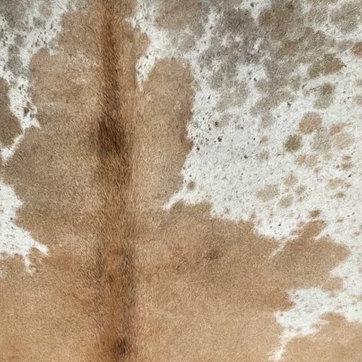 closeup of this Speckled Brazilian Cowhide, showing white with caramel speckles and spots, caramel down the middle, and some gray spots on the shoulder (BRSP2954)