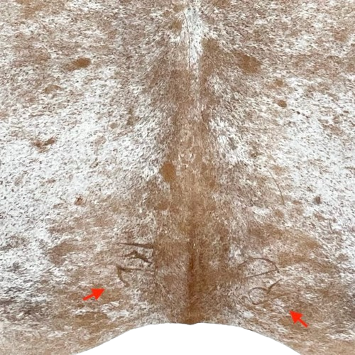 closeup of this white and brown Speckled Brazilian Cowhide, showing one brand mark on both sides of the butt (BRSP2955)