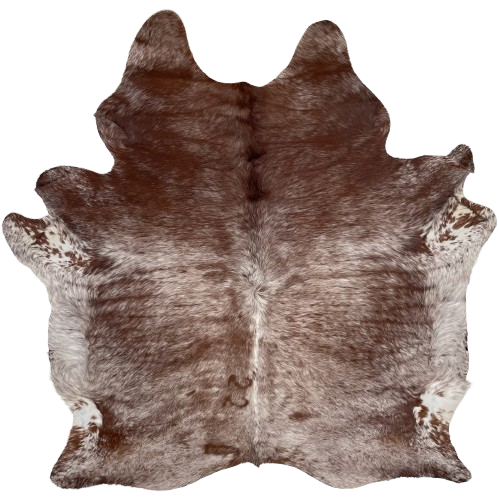 Large Reddish Brown and White Speckled Brazilian Cowhide: white with reddish brown speckles and spots, and mostly solid red brown on the shoulder, and it has a brand mark along the spine, on the left side - 7'6" x 6'5" (BRSP2957)