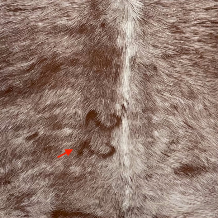 Closeup of this Large Reddish Brown and White Speckled Brazilian Cowhide, showing a brand mark along the spine, on the left side (BRSP2957)