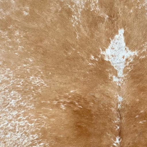 closeup of this XL Speckled Brazilian Cowhide, showing caramel, with white speckles, on the shoulder and down the middle, and white, with caramel speckles, on the sides (BRSP2966)