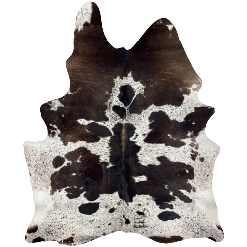 Large Dark Brown and White Speckled Brazilian Cowhide: white with dark brown speckles and spots, and one brand mark on the right side of the butt - 7'10" x 5'7" (BRSP2967)