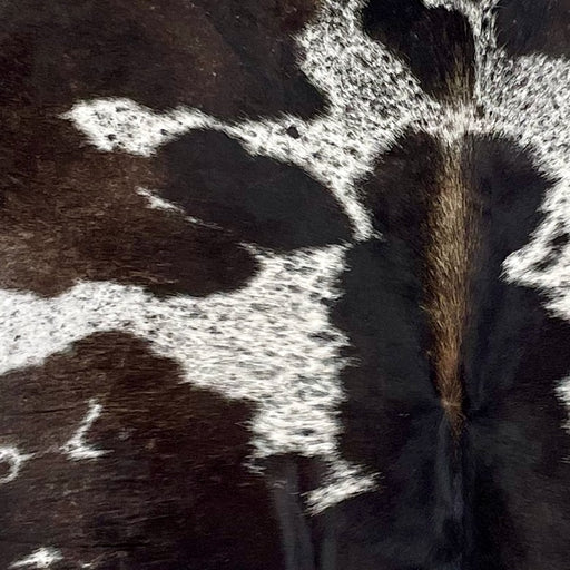 closeup of this Large Speckled Brazilian Cowhide, showing white with dark brown speckles and spots (BRSP2967)