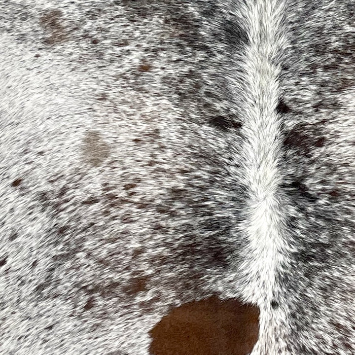 closeup of this Tricolor Speckled Brazilian Cowhide, showing white with brown and black speckles and spots  (BRSP2970)