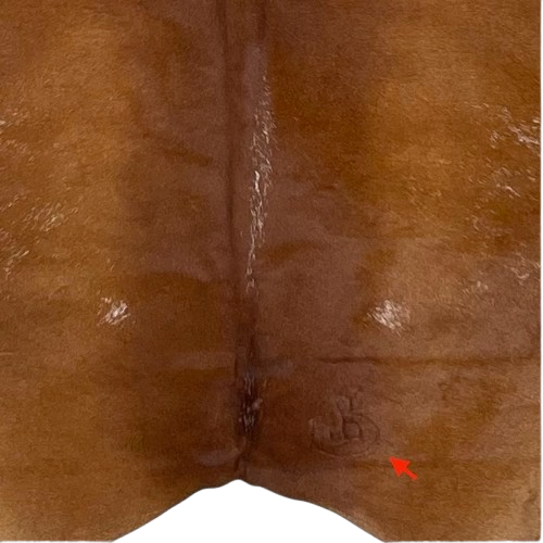 CLoseup of this Large Reddish Brown and White Speckled Brazilian Cowhide, showing one brand mark on the right side of the butt  (BRSP2976)