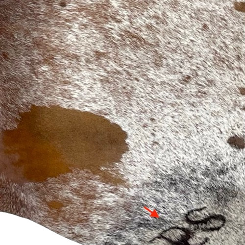 Closeup of this Tricolor Speckled Brazilian Cowhide, showing one brand mark on the right side of the butt (BRSP2978)