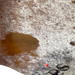 Closeup of this Tricolor Speckled Brazilian Cowhide, showing one brand mark on the right side of the butt (BRSP2978)