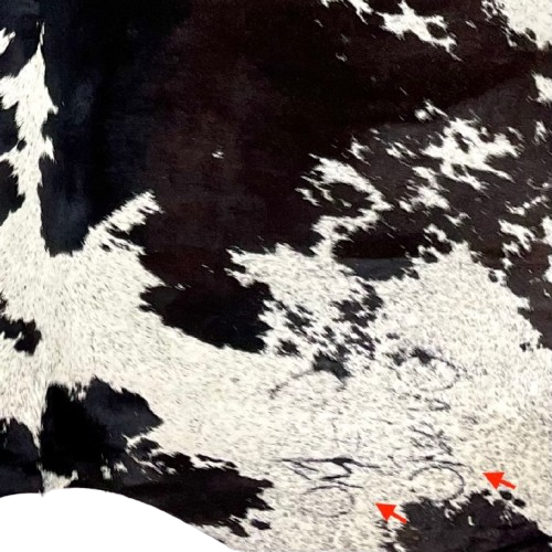 Closeup of this Dark Tricolor Speckled Brazilian Cowhide, showing two brand marks on the right side of the butt (BRSP2997)