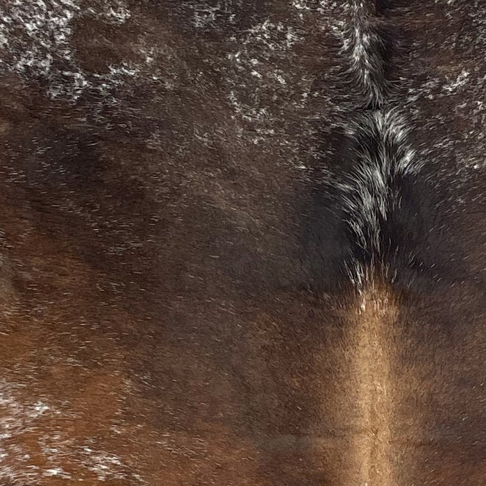 Closeup of this Speckled Brazilian Cowhide, showing brown with white speckles and spots, and light brown down part of the spine (BRSP3010)