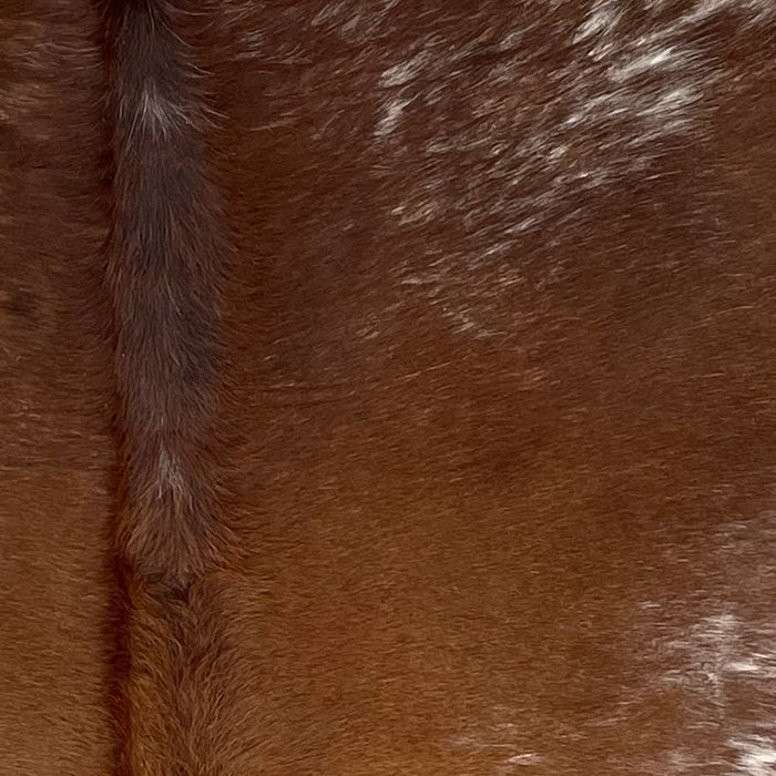 Closeup of this Speckled Brazilian Cowhide, showing reddish brown with white speckles (BRSP3011)