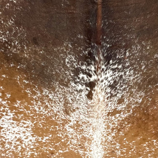 Closeup of this Speckled Brazilian Cowhide, showing white with brown speckles and spots on the back, and dark brown on the shoulder, with reddish brown down part of the spine (BRSP3013)