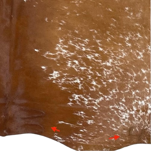 Closeup of this Brown and White Speckled Brazilian Cowhide, showing one brand mark on the right side of the butt and another near the right hind shank  (BRSP3014)