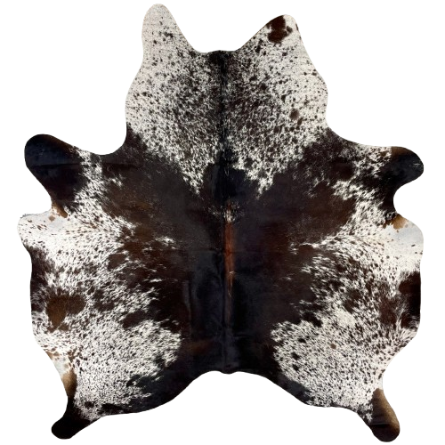 Blackish Brown and White Speckled Brazilian Cowhide: white with blackish brown speckles and spots, and reddish brown down part of the spine - 5'11" x 5'6" (BRSP3015)