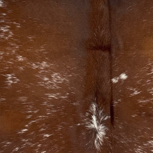 Closeup of this Speckled Brazilian Cowhide, showing brown with white speckles (BRSP3016)