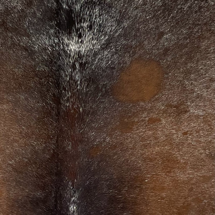 Closeup of this Tricolor Speckled Brazilian Cowhide, showing a mix of brown, black, and blackish brown, with fine, white speckles (BRSP3020)