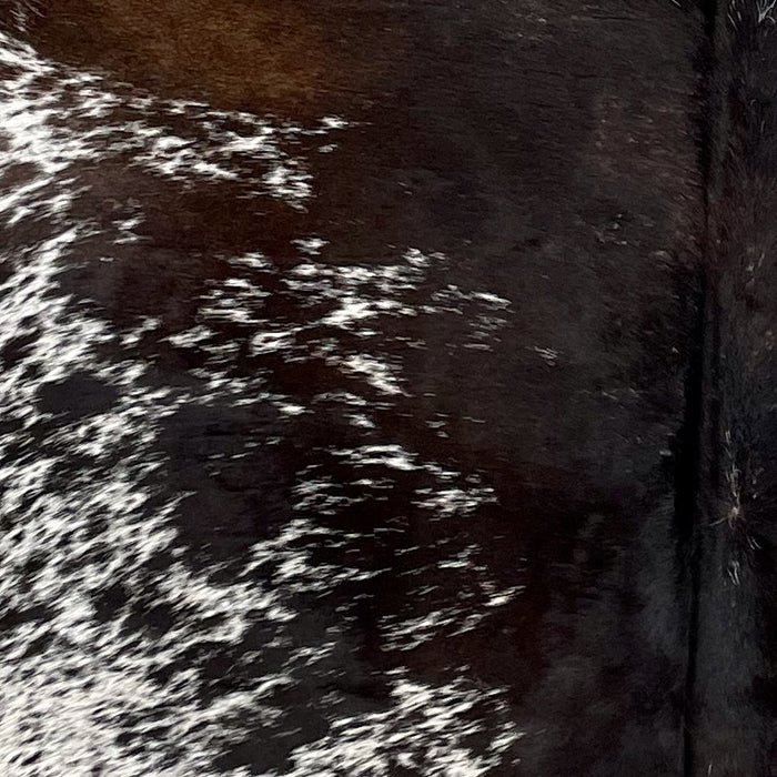 Closeup of this Tricolor Speckled Brazilian Cowhide, showing white with dark brown and blackish brown spots and speckles, and a mix of black and blackish brown down the middle of the back (BRSP3022)