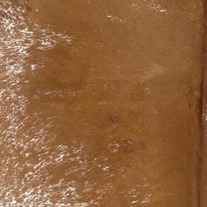 Closeup of this Speckled Brazilian Cowhide, showing brown with white speckles and spots (BRSP3025)