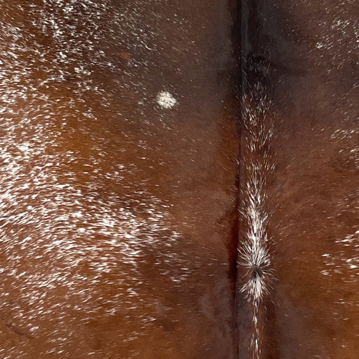 Closeup Speckled Brazilian Cowhide, showing reddish brown and chocolate with white speckles and spots (BRSP3026)