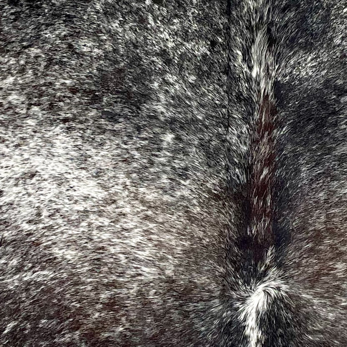 Closeup of this Tricolor Speckled Brazilian Cowhide, showing white with black and dark brown speckles and spots (BRSP3030)